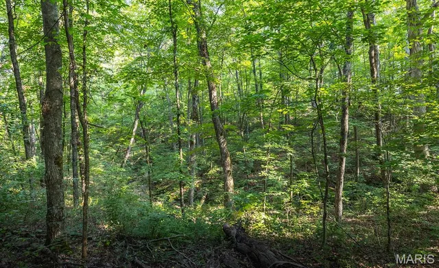 $350,000 | 0 Donegal Court, Warrenton, MO 63383