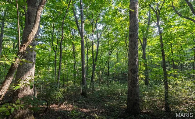 $350,000 | 0 Donegal Court, Warrenton, MO 63383