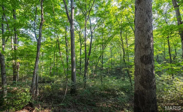 $350,000 | 0 Donegal Court, Warrenton, MO 63383