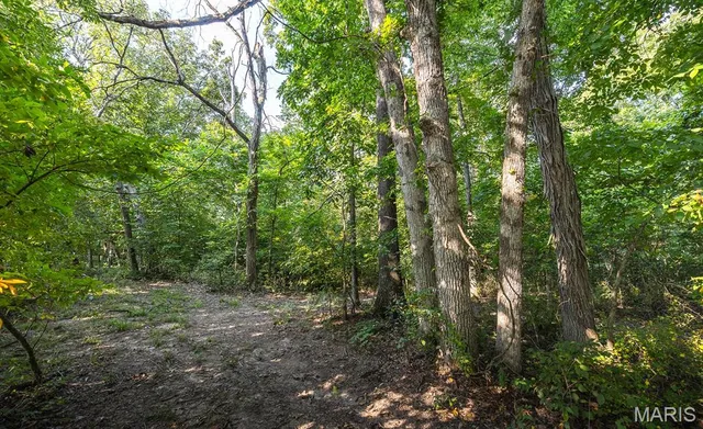 $350,000 | 0 Donegal Court, Warrenton, MO 63383