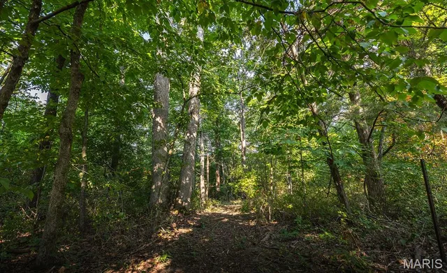 $350,000 | 0 Donegal Court, Warrenton, MO 63383