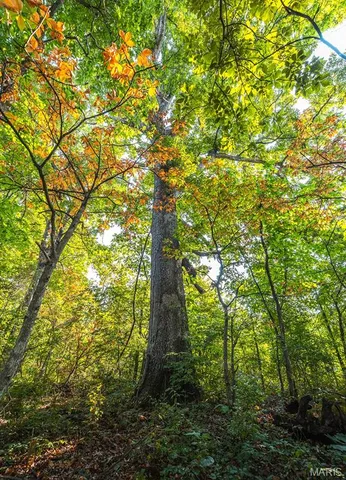 $350,000 | 0 Donegal Court, Warrenton, MO 63383