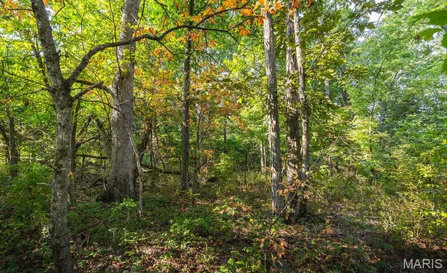 $350,000 | 0 Donegal Court, Warrenton, MO 63383