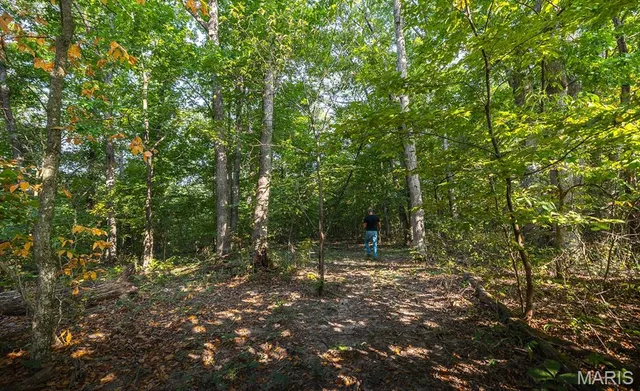 $350,000 | 0 Donegal Court, Warrenton, MO 63383