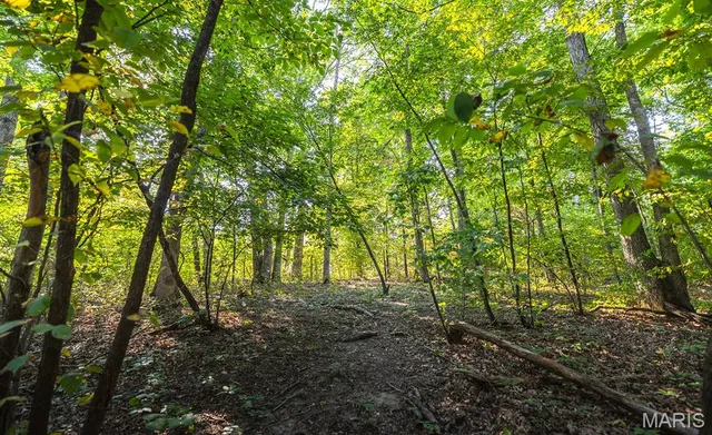 $350,000 | 0 Donegal Court, Warrenton, MO 63383