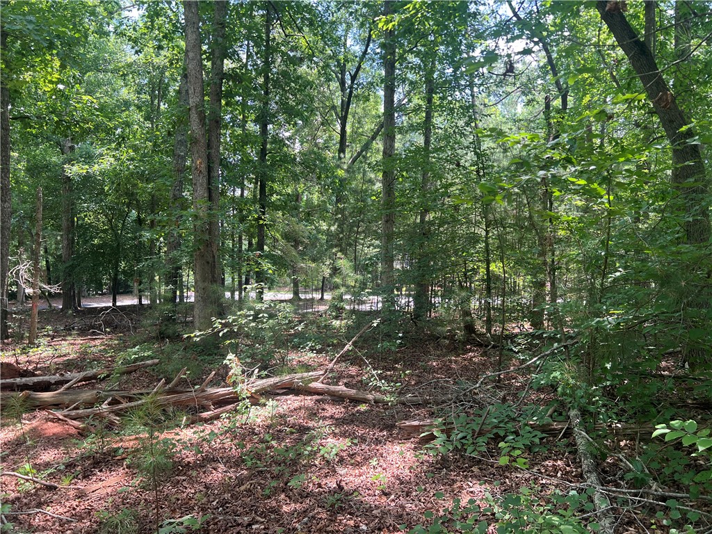 0 Promontory Ridge, Unit LOT 45 STILLWATER Seneca, SC 29672 - Photo 14 of 26