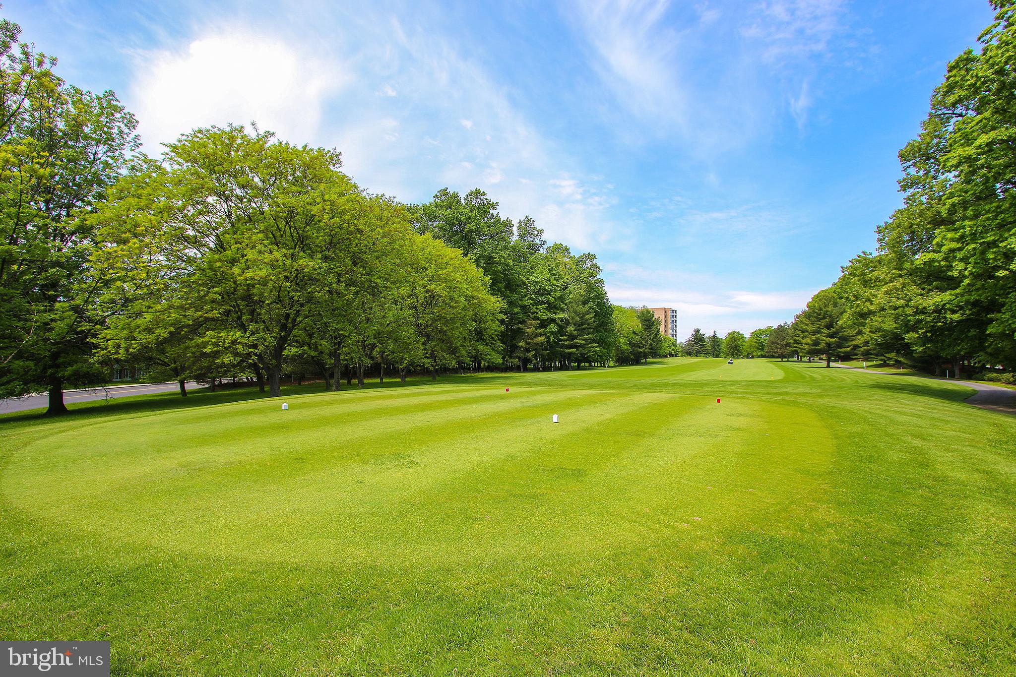 15100 Interlachen Drive, Unit 4517 Silver Spring, MD 20906 - Photo 38 of 42 a view of yard and swimming pool