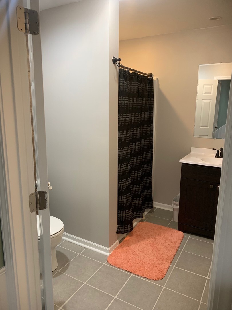 4473 East 250th Road Mendota, IL 61342 - Photo 14 of 15 a bathroom with a sink toilet and shower