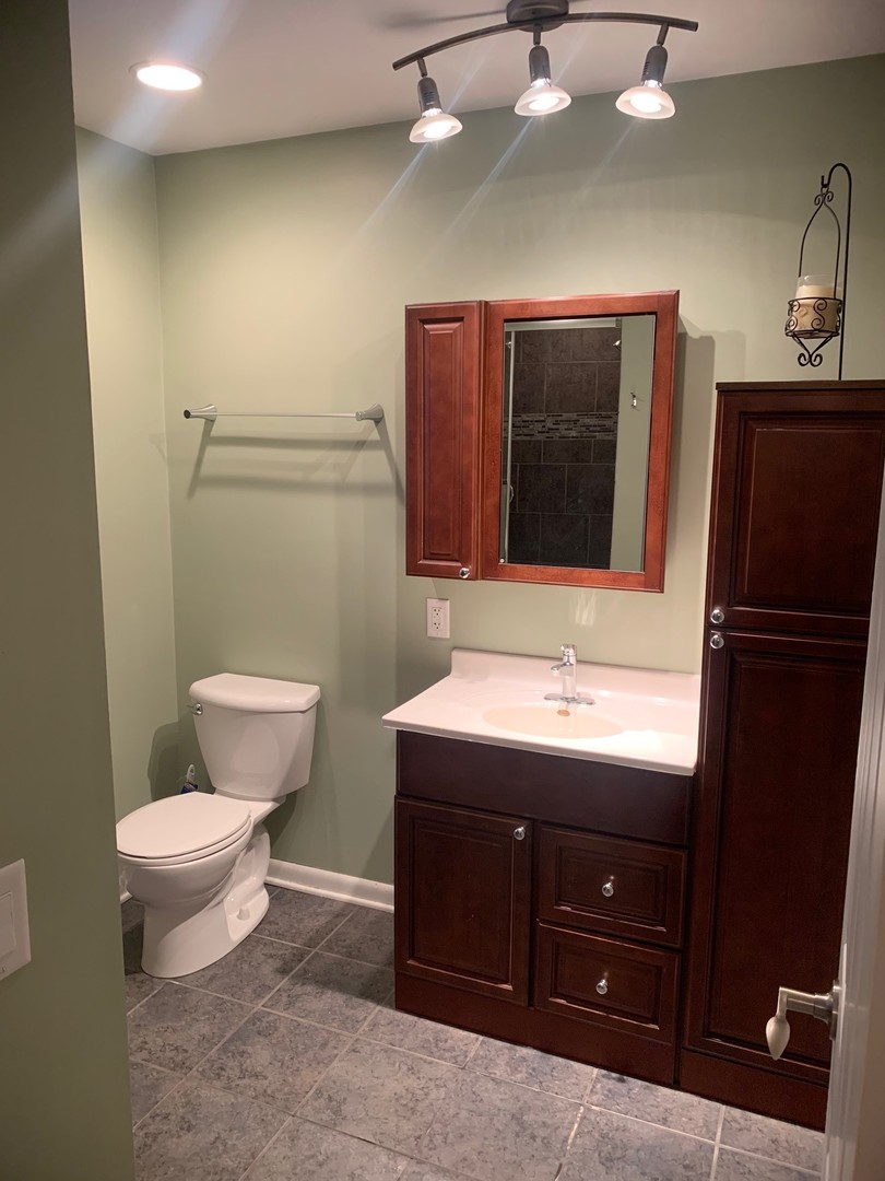 4473 East 250th Road Mendota, IL 61342 - Photo 8 of 15 a bathroom with a sink toilet and mirror