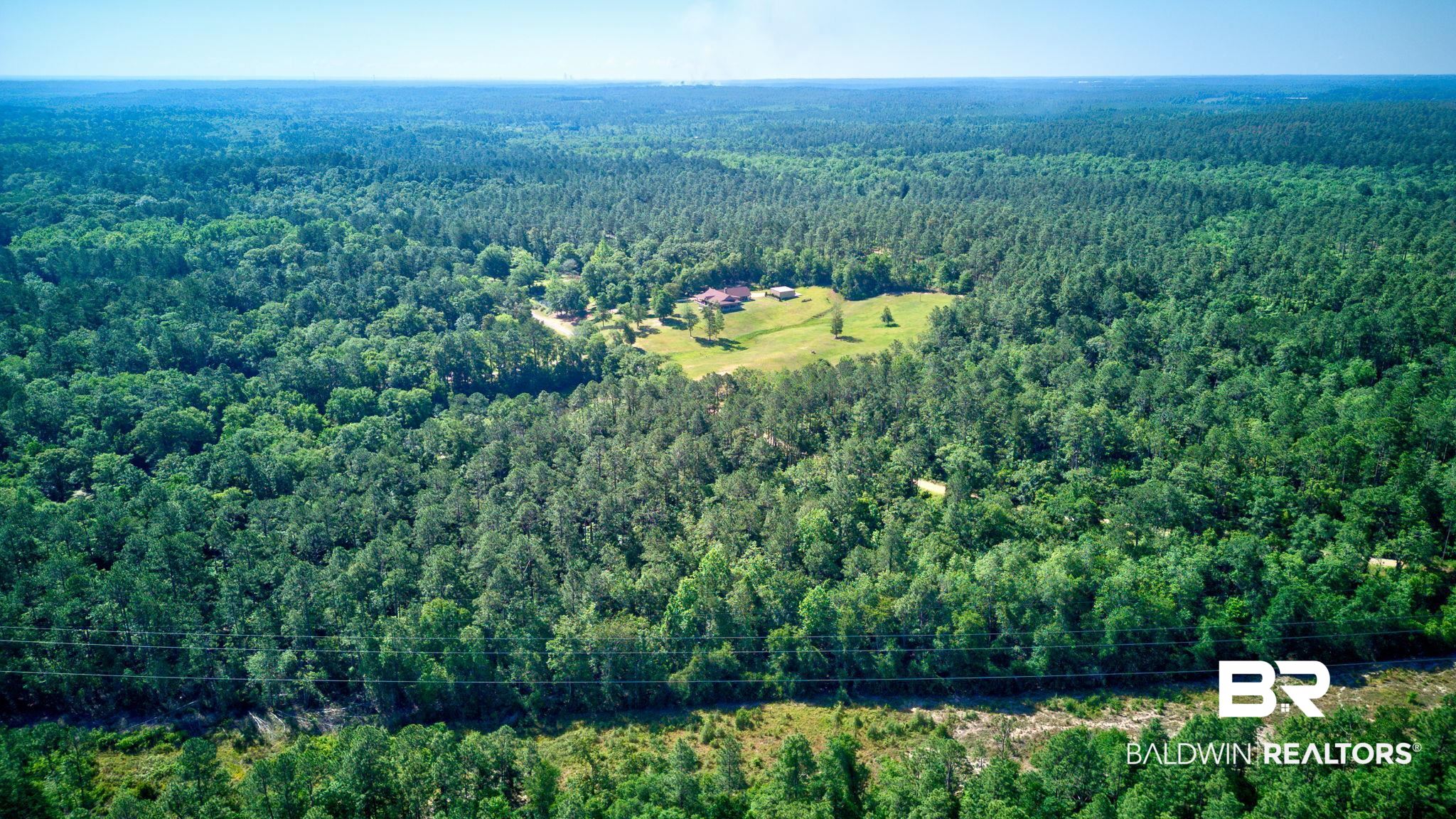 0 Evans Road Chunchula, AL 36521 - Photo 2 of 19