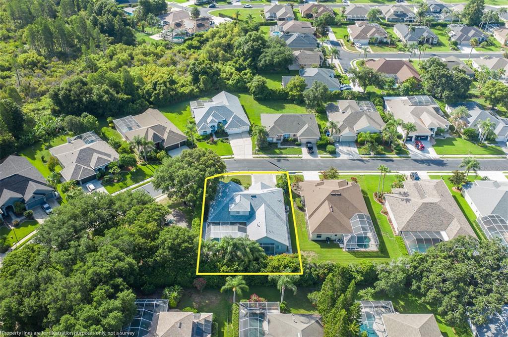 2151 Edelweiss Loop Trinity, FL 34655 - Photo 67 of 78