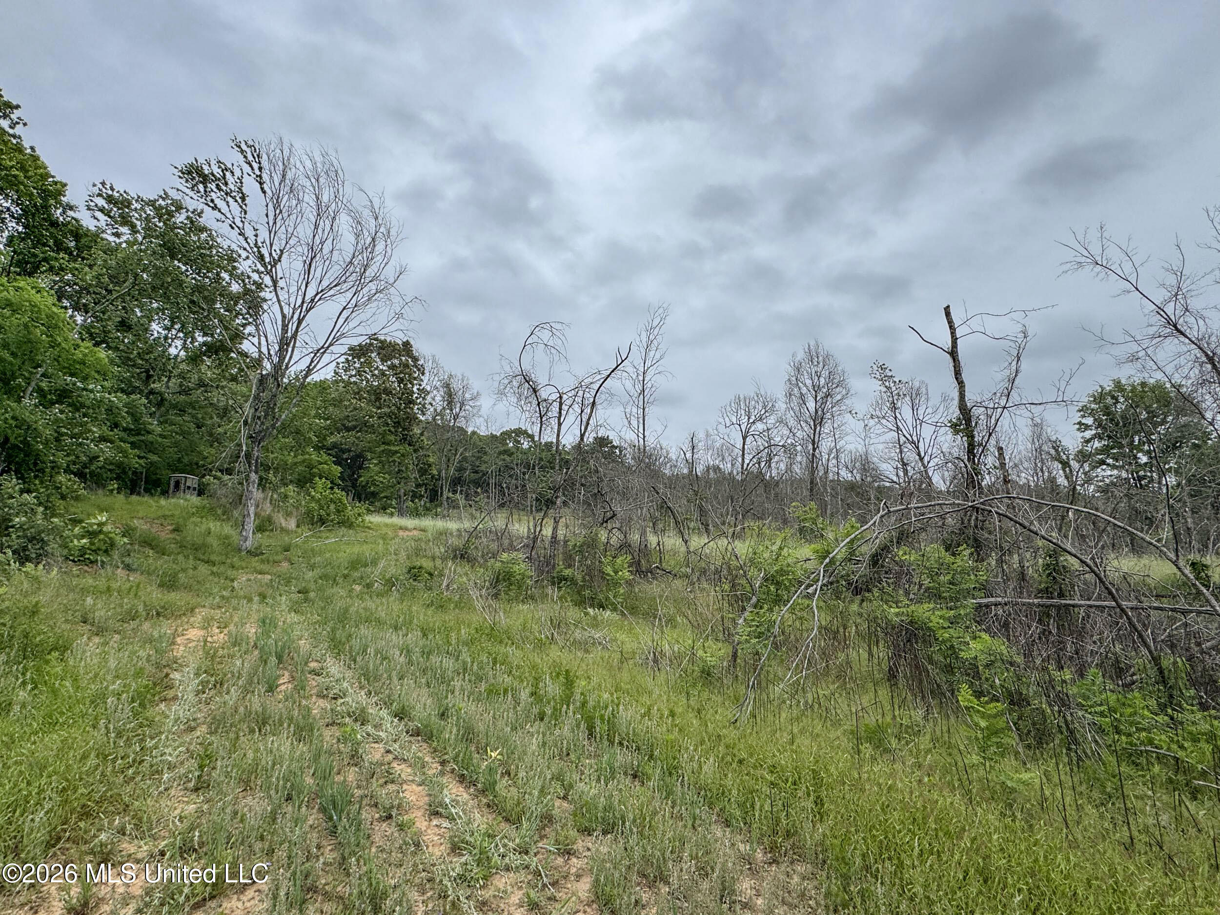 Wayne Massie Road Como, MS 38619 - Photo 176 of 184 5cdtbs126