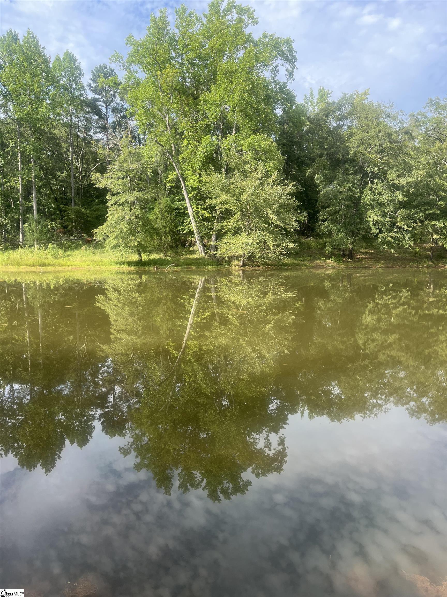 69 State Rd S-42-2901 Lyman, SC 29365 - Photo 3 of 12