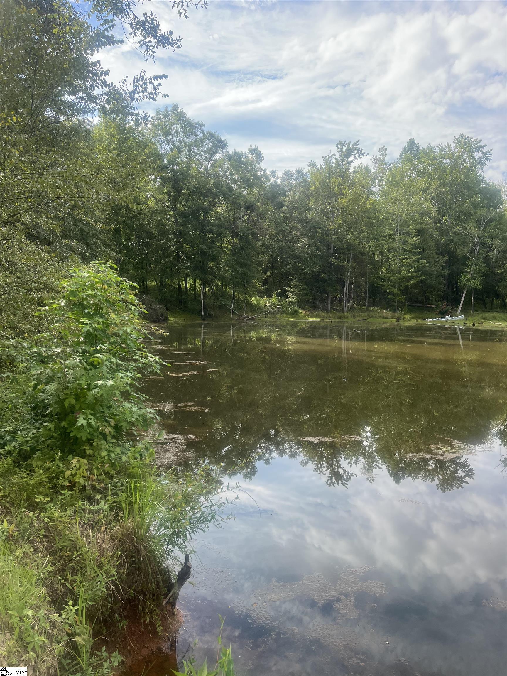 69 State Rd S-42-2901 Lyman, SC 29365 - Photo 4 of 12