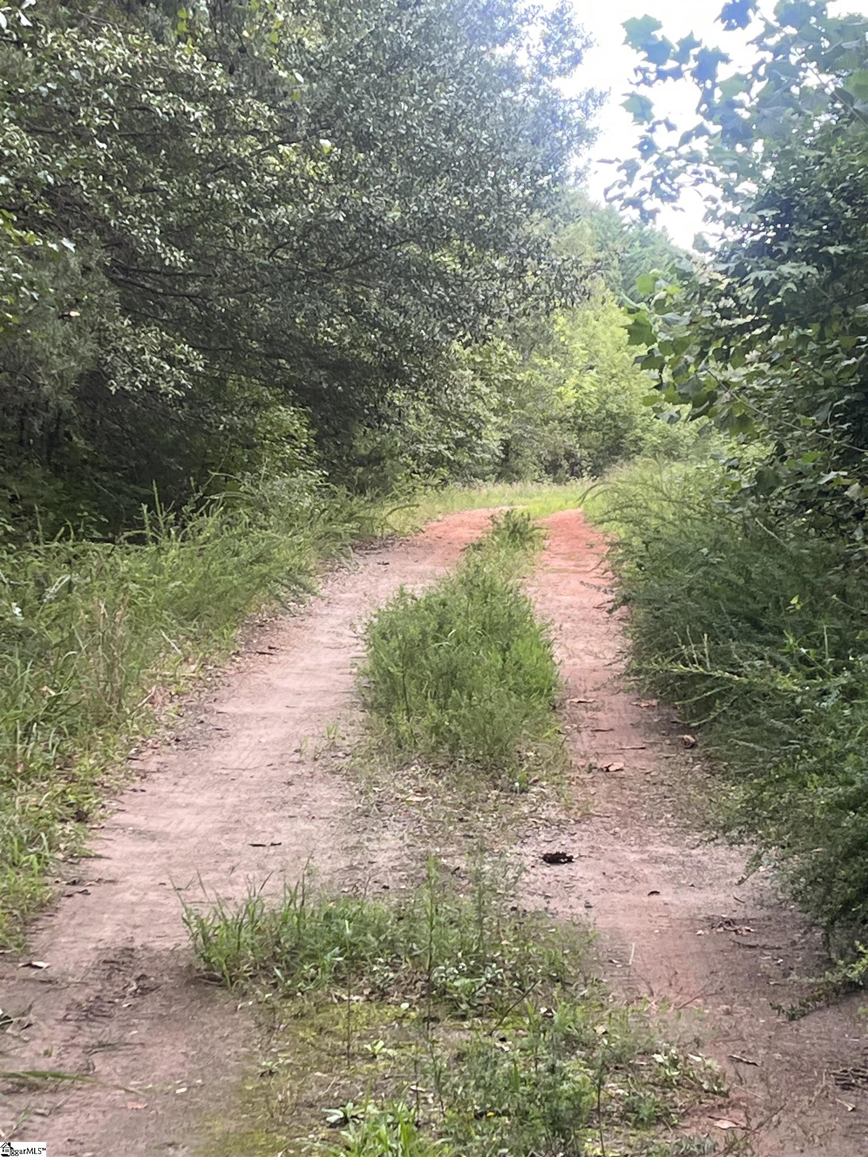 69 State Rd S-42-2901 Lyman, SC 29365 - Photo 5 of 12