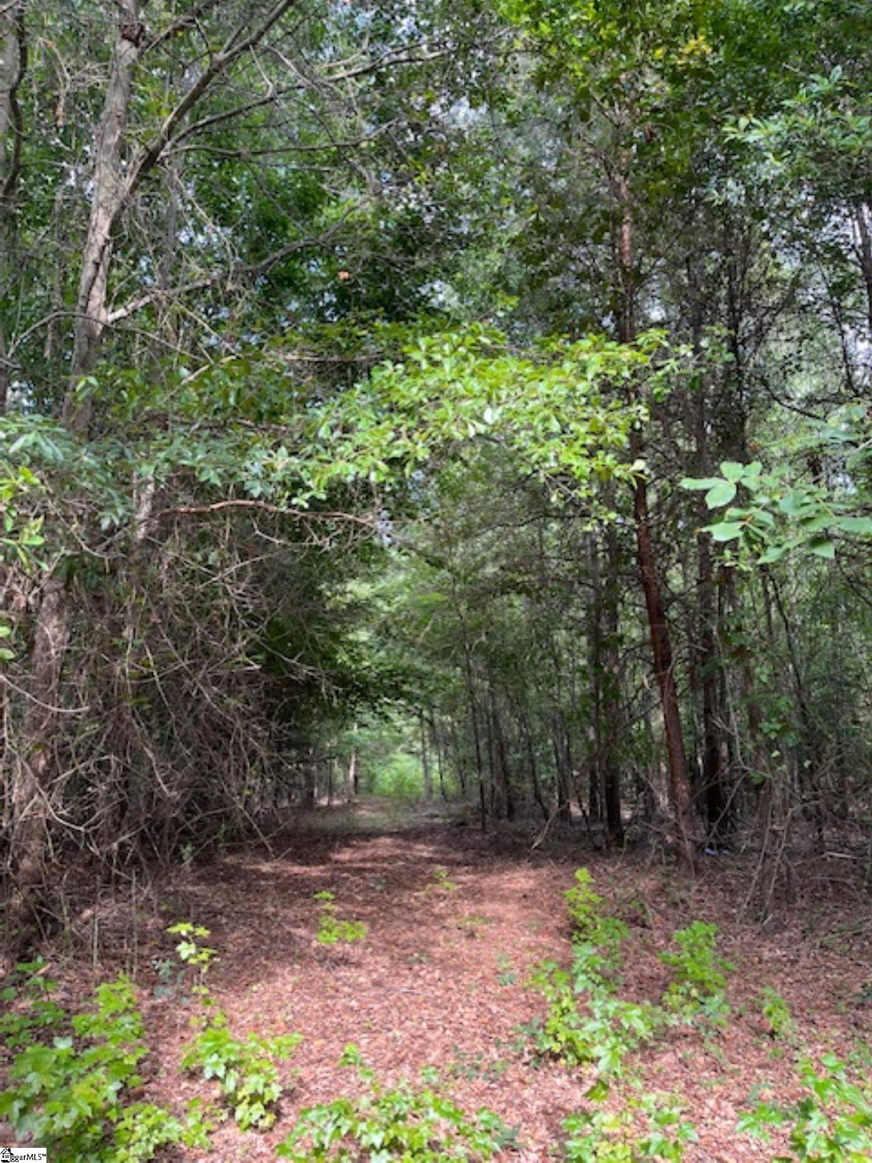 69 State Rd S-42-2901 Lyman, SC 29365 - Photo 6 of 12