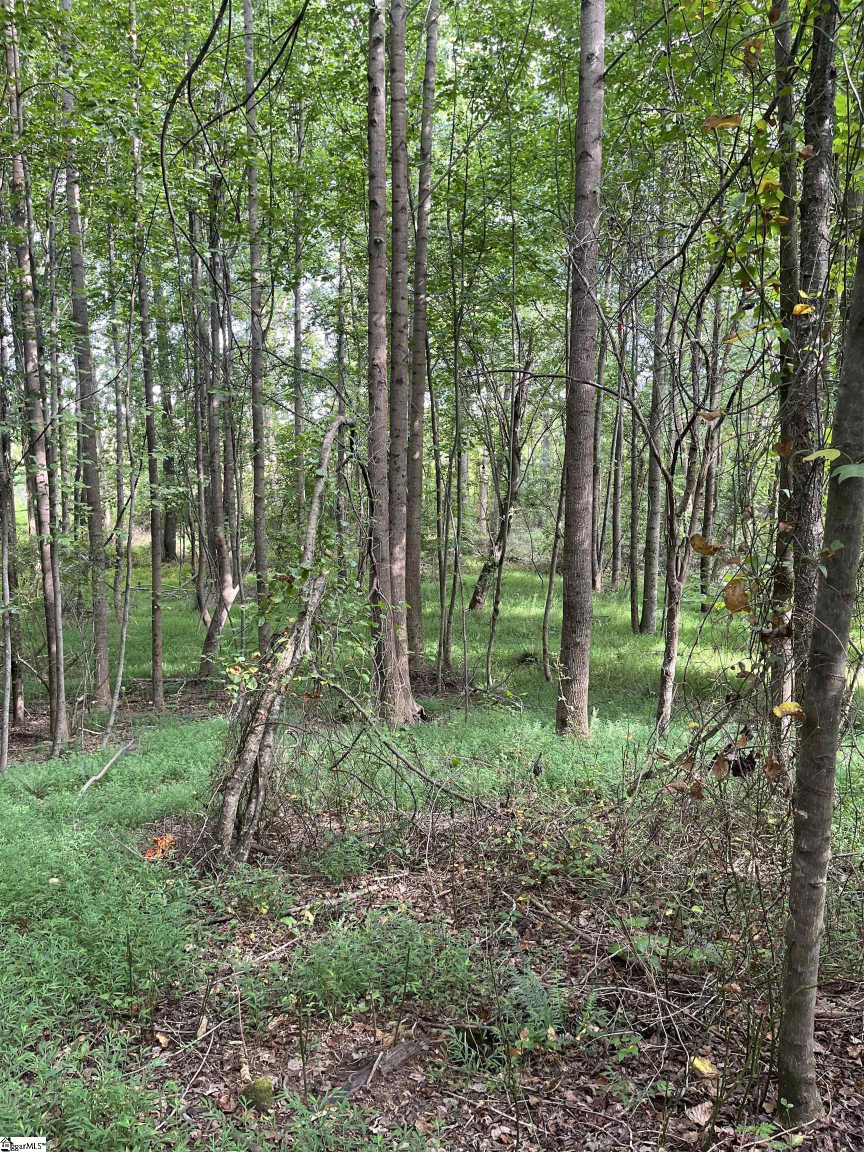 69 State Rd S-42-2901 Lyman, SC 29365 - Photo 7 of 12