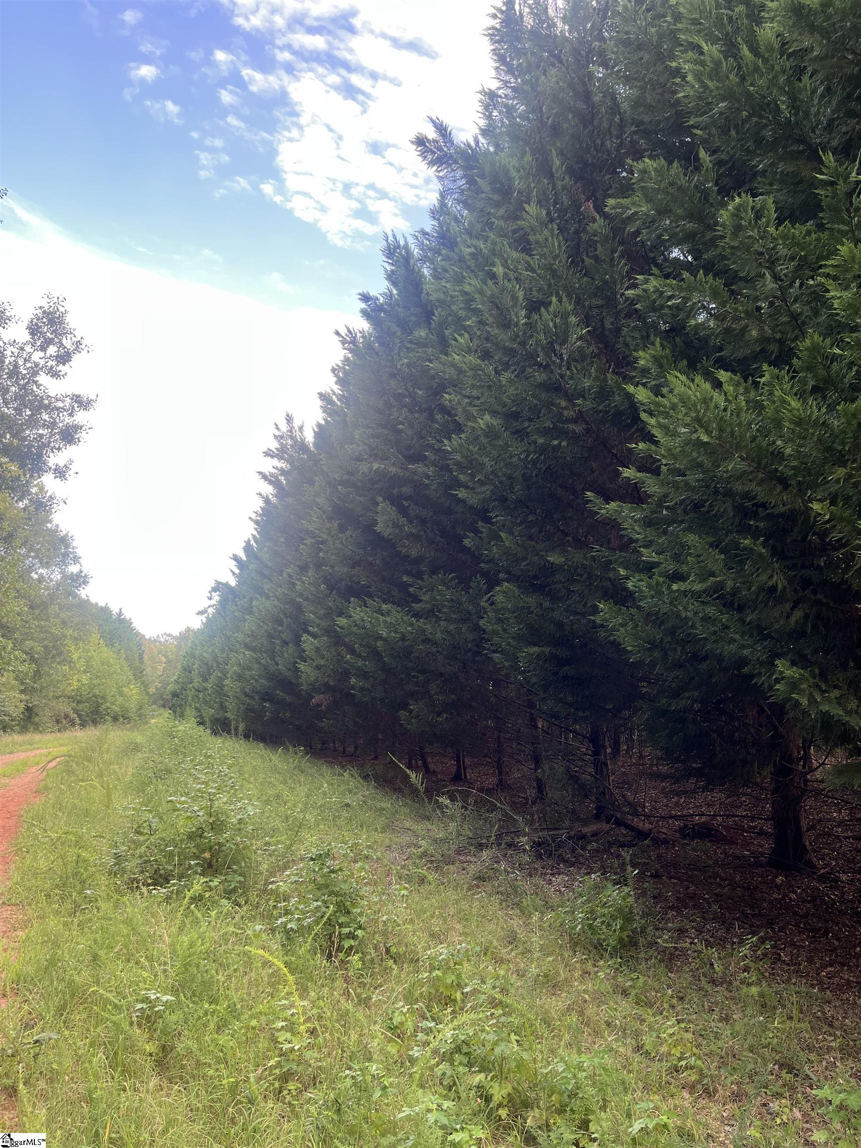 69 State Rd S-42-2901 Lyman, SC 29365 - Photo 8 of 12