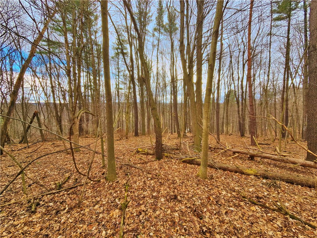 2130 Guyanoga Road Jerusalem, NY 14527 - Photo 21 of 26
