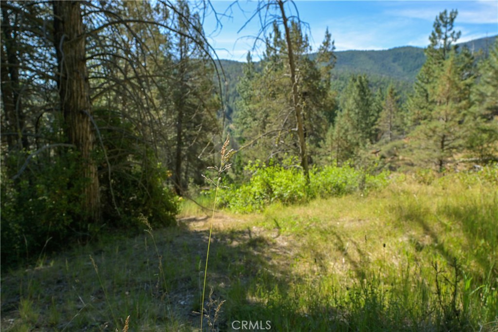 1 Duzel Creek Road Fort Jones, CA 96032 - Photo 8 of 38