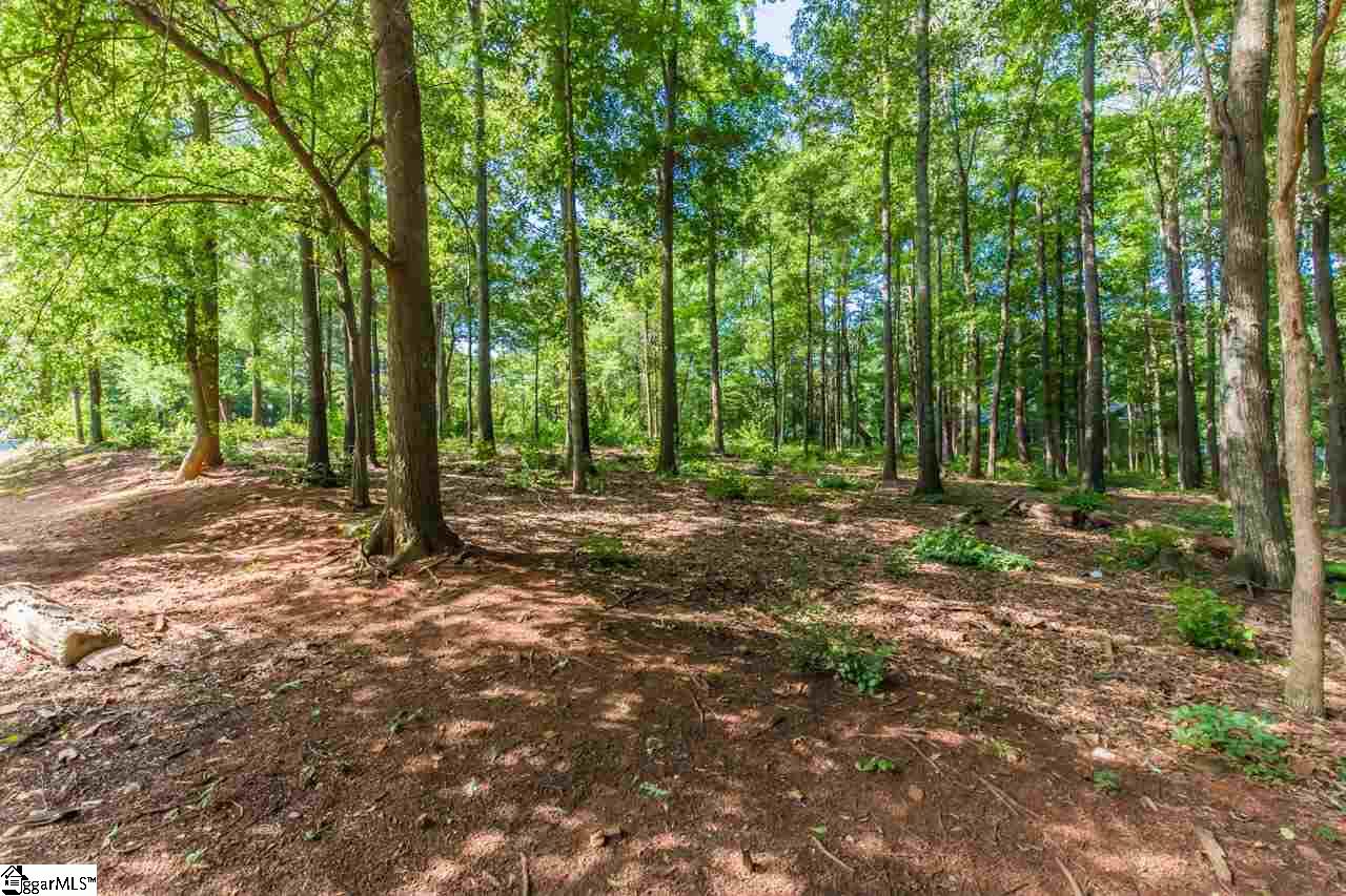 136 Wheeler Street Duncan, SC 29334 - Photo 28 of 30 Gallery Image 28