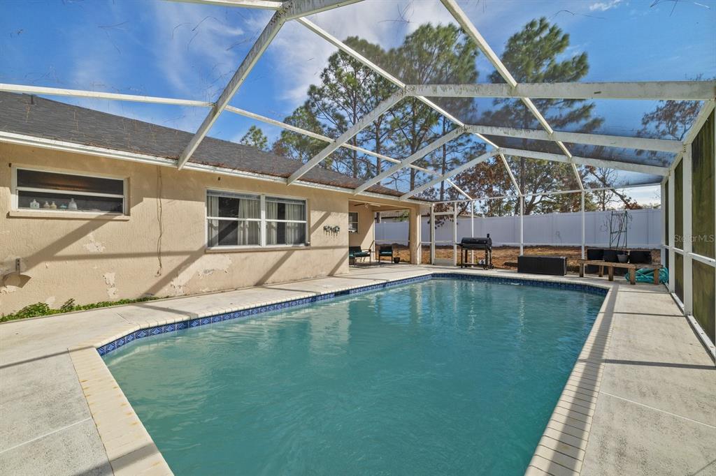 12575 Maleo Road Weeki Wachee, FL 34614 - Photo 19 of 28 pool with screen cage