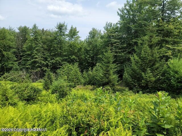 Hermit Thrush Road Long Pond, PA 18334 - Photo 2 of 2 Lot