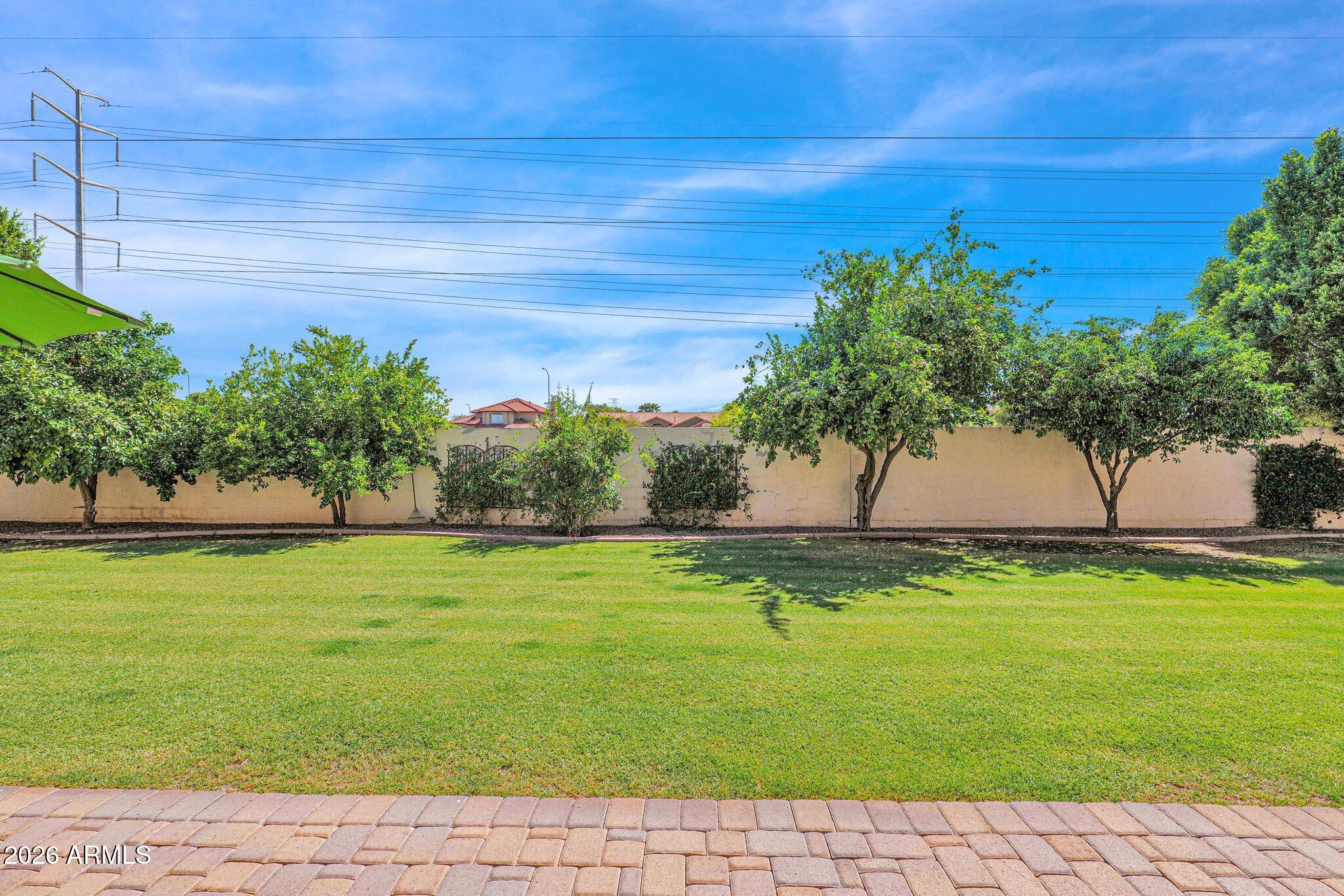 3453 East Decatur Street Mesa, AZ 85213 - Photo 51 of 77 61-web-or-mls-P1043323