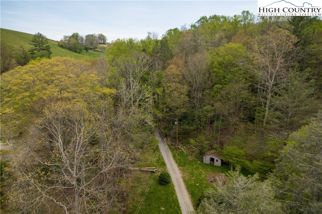 1534 Highway 194 Boone, NC 28607 - Photo 34 of 50 a view of a forest