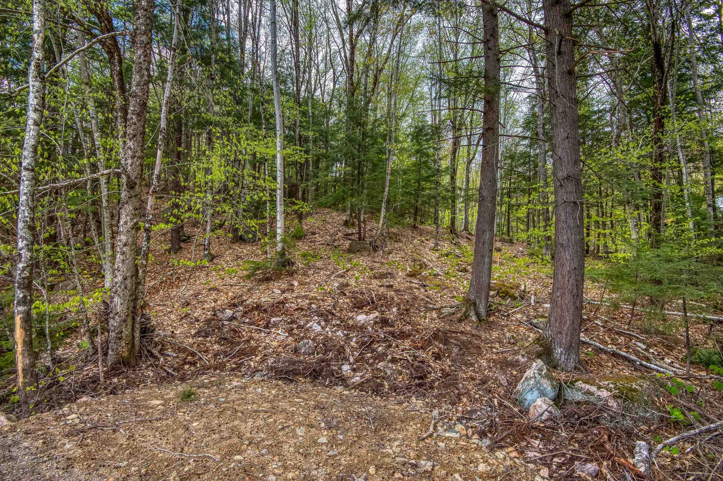 0 Ellis Ridge Road, Unit B6D Glen, NH 03838 - Photo 5 of 8