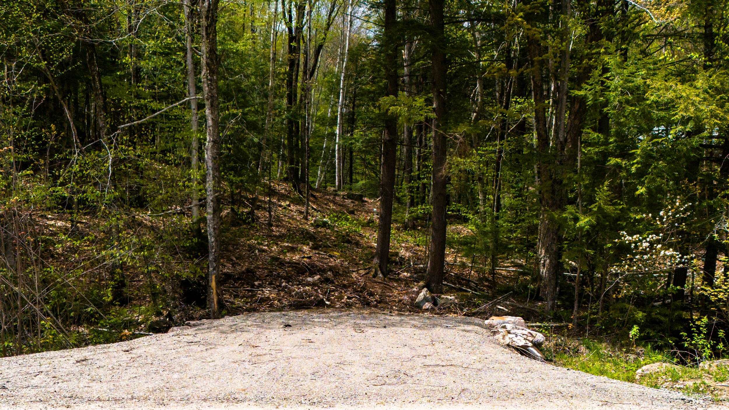 0 Ellis Ridge Road, Unit B6D Glen, NH 03838 - Photo 6 of 8