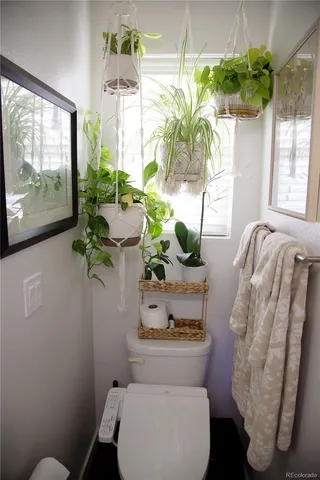 $3,100 | 4426 Vindaloo Drive, Castle Rock, CO 80109