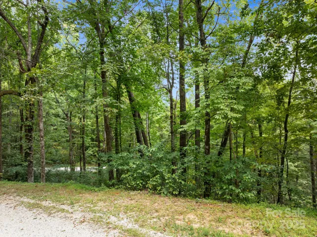 a view of a yard with large trees