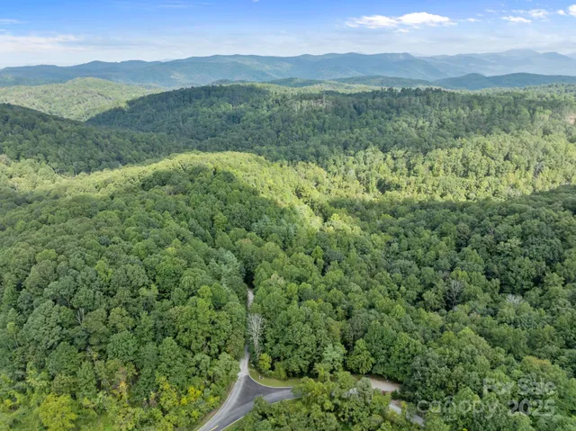 a view of an lush green hillside and a houses