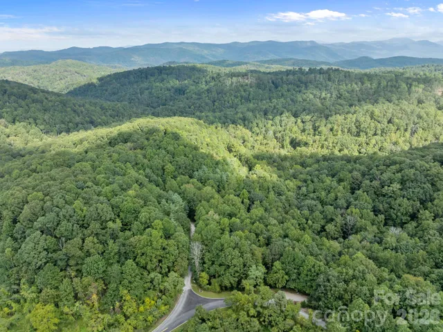 a view of a lush green forest with lush green forest