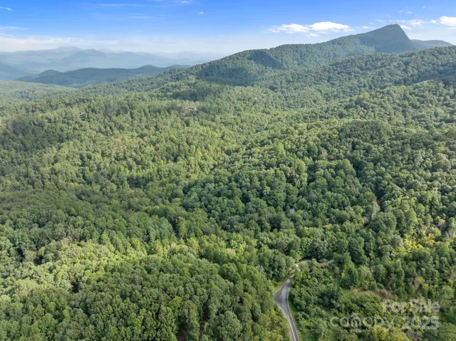 a view of a lush green forest with lush green forest