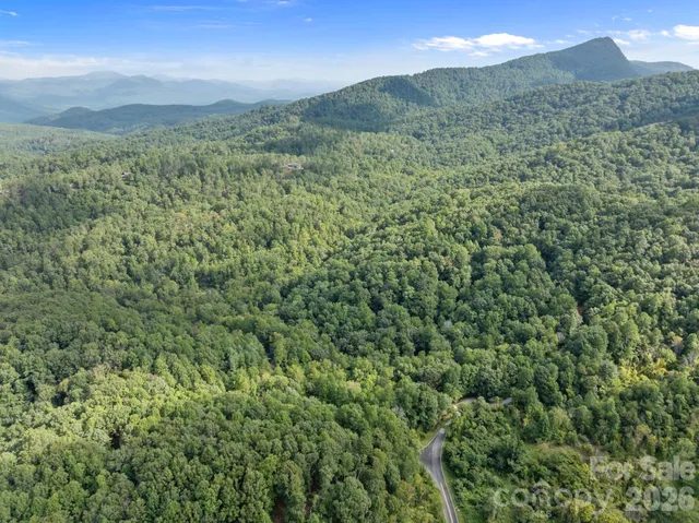 a view of a lush green hillside and a houses