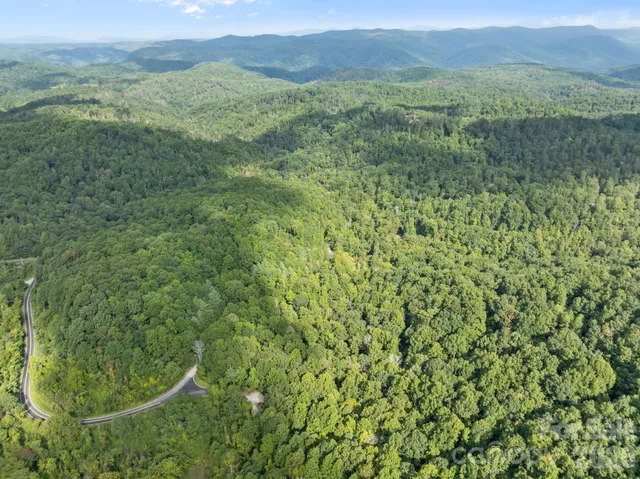 a view of a lush green forest with a mountain