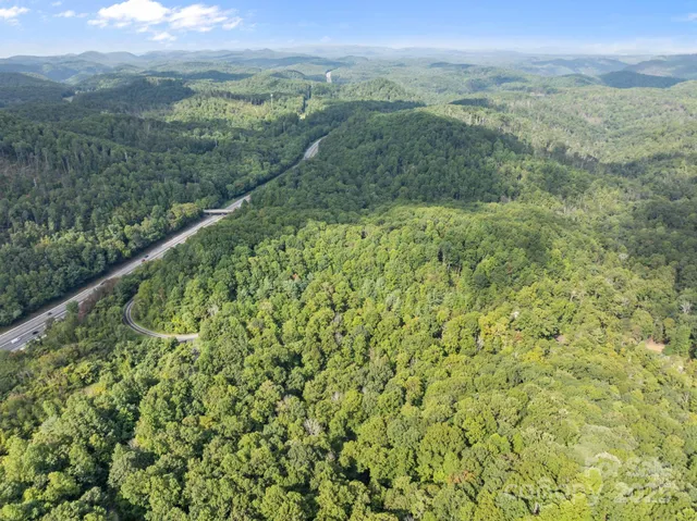 a view of a lush green forest with a mountain