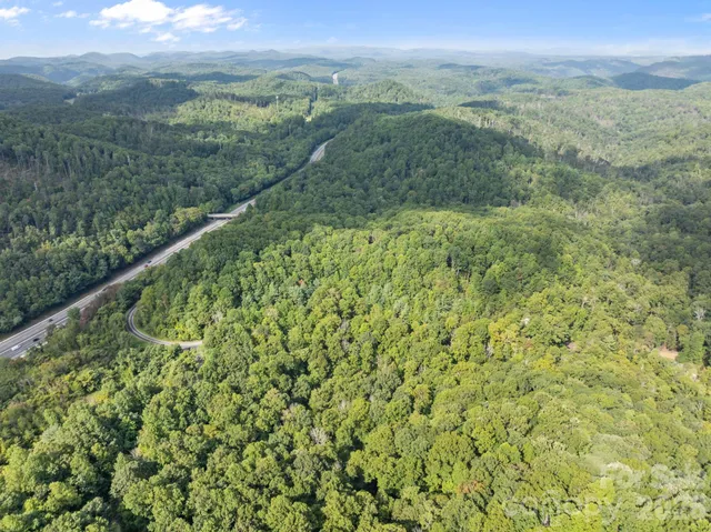 an aerial view of houses covered in trees