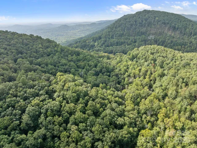 an aerial view of houses covered in trees