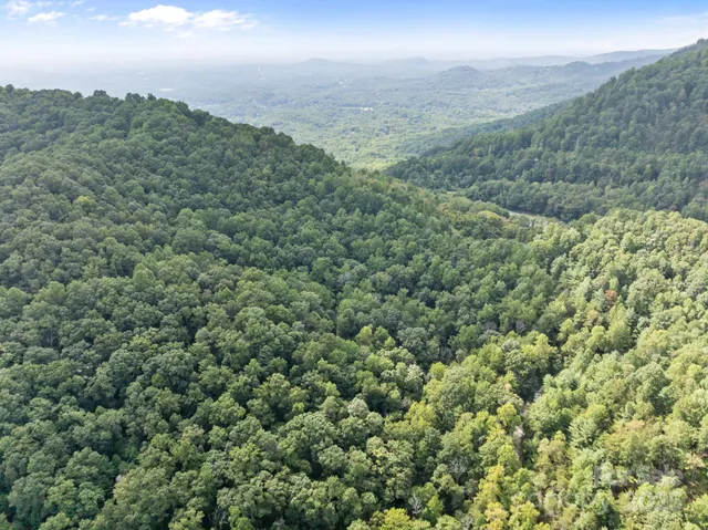 a view of a bunch of trees in a field