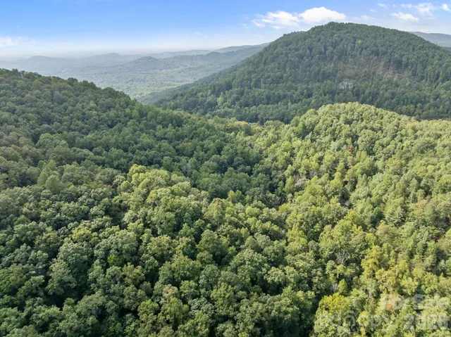 a view of a bunch of trees in a field
