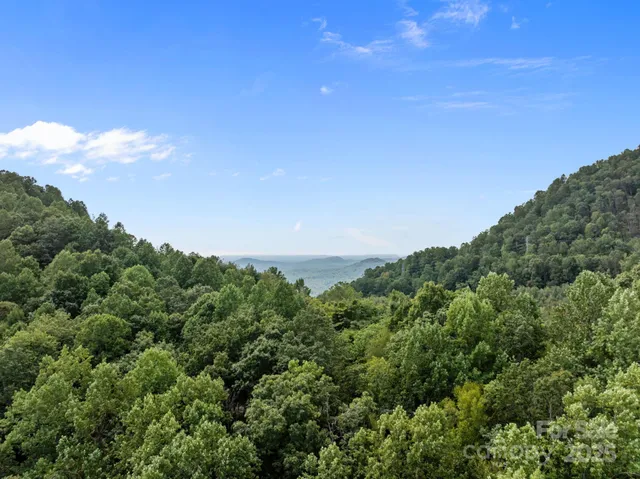 a view of a big yard with lots of green space and mountain view