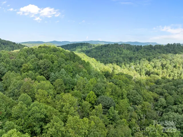 $55,000 | 1 Rixhaven Drive, Saluda, NC 28773