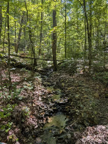 a view of outdoor space and trees