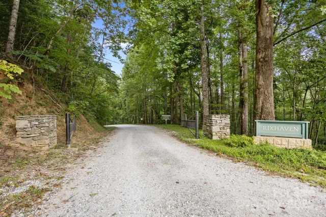 a view of a yard with plants and trees