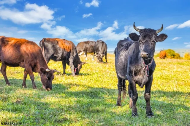 $2,728,000 | 369 Stamets Road, Milford, NJ 08848