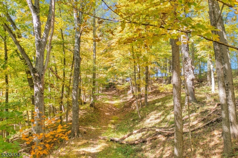 369 Stamets Road Milford, NJ 08848 - Photo 10 of 12