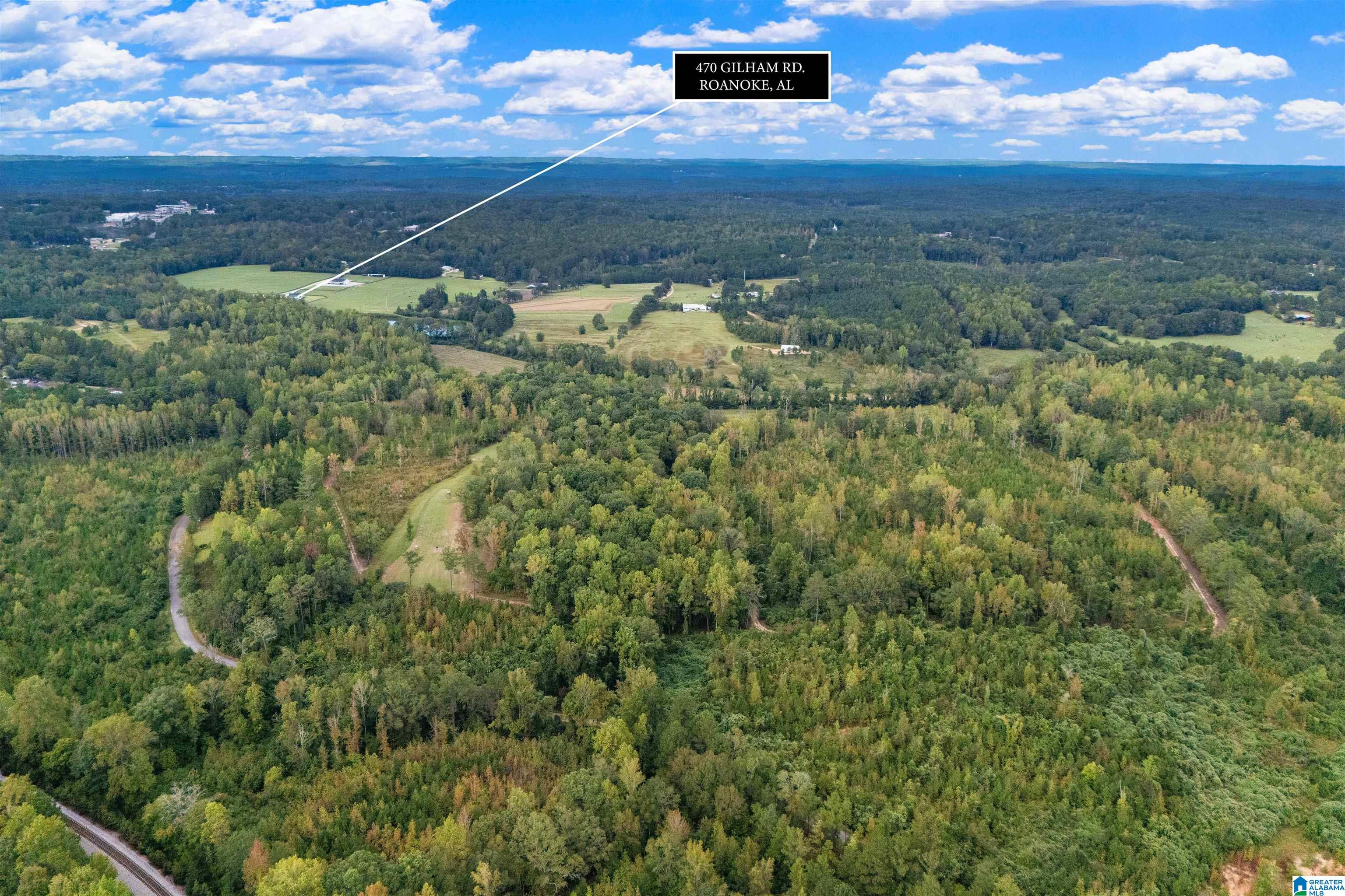 470 Gilham Road Roanoke, AL 36274 - Photo 43 of 70